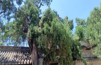 医患沟通不仅是一个培训课程，更是一场医患沟通的“诊断与治疗”