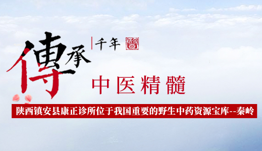 中医精髓传承千年