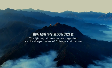 《欢迎来西安》旅游宣传片